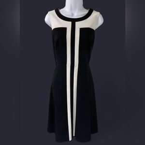 Calvin Klein Black and White A Line Dress